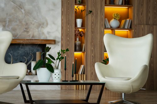 Profissional de Design de Interiores